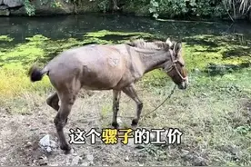 没人疼就去爬山吧～ | 冷段子2667 & 去年今日2312图片
