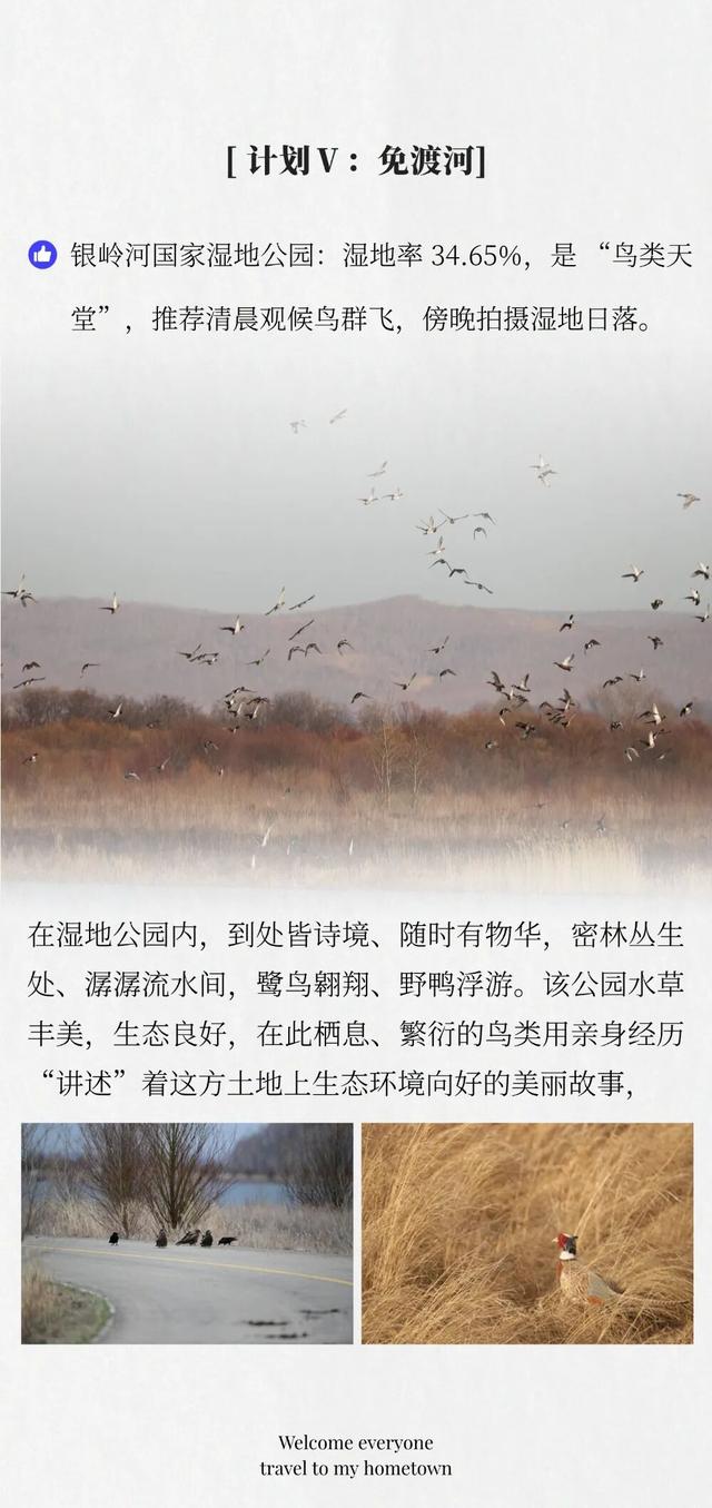 金秋来牙克石 在大兴安岭腹地拥抱自然与诗意......
