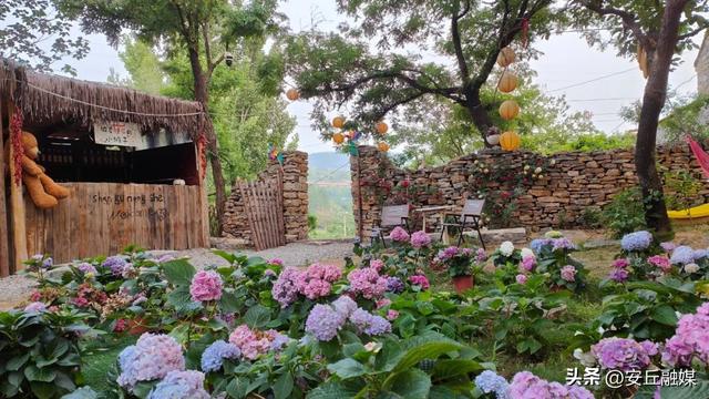 周末必冲！潍坊“齐鲁天路”安丘段“宝藏民宿地图”，快来山里躺平吧！