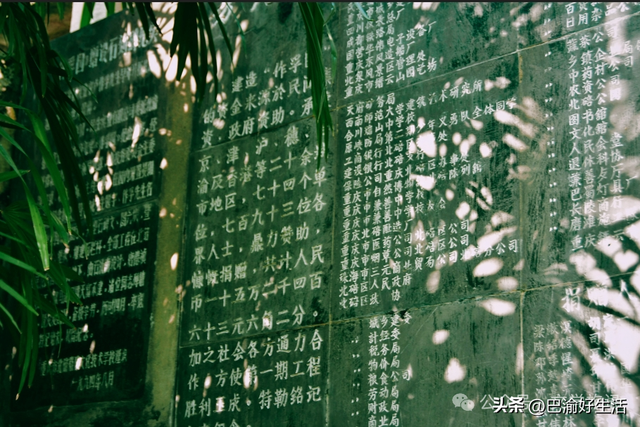 北碚公园竟是"大熊猫"命名地，原来藏着这么多秘密