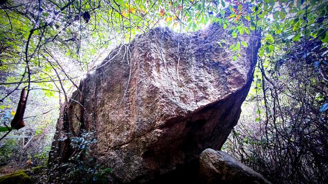 白鹤湾村与太子岭古道：一段镌刻历史与自然的千年传奇