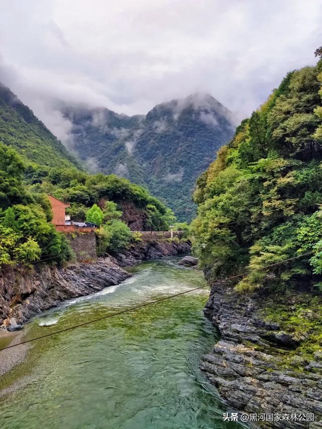 云海翻涌,薄雾缭绕,在黑河山间邂逅“山林仙境”