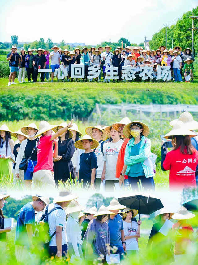 黄陂版《种地吧》太治愈了！