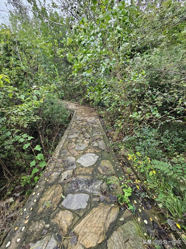 大山的世界，只有美不胜收的风景，只有崎岖不平的山路，一起打卡