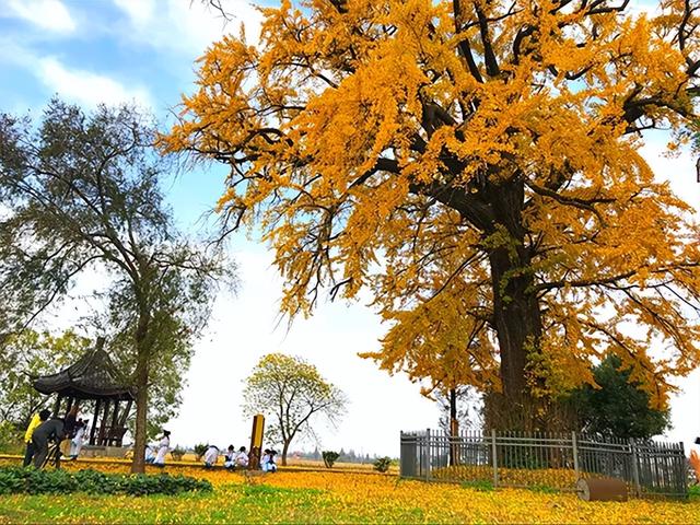 秋游走起！浙江2条精品线路获国家部委推介