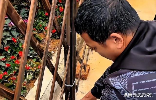 吃相太难看?全红婵刚归队全父用就冠军名号赚钱,担心的事还是发生