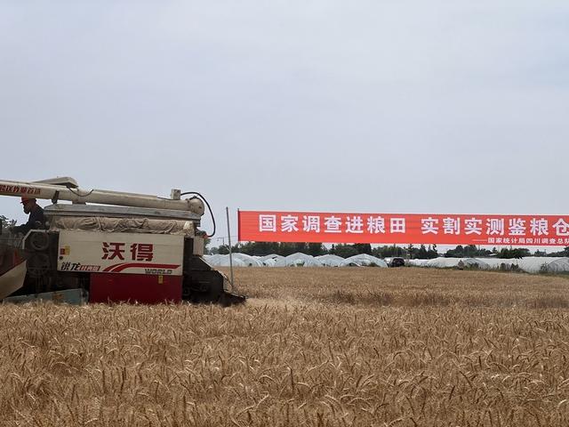 中国最不好惹的一个省！半个中国都要依赖它，还能在战时承接产业