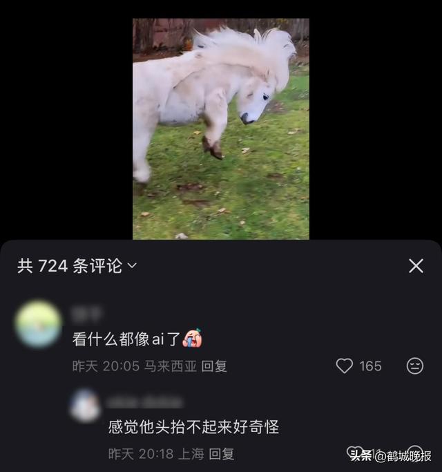 刷到的猫狗视频全是 AI 做的，连教授批学生都是假的，我还能信啥？
