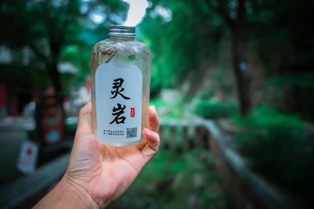 30处沉浸式泉水生活体验游（下篇），品茶吃瓜，体验老济南人的生活！