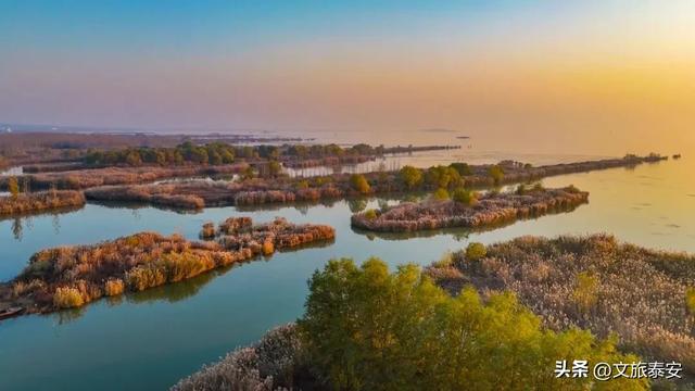 泰安“天空之镜”大火！连片芦苇+落日余晖 美到尖叫