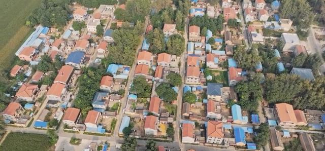 魅力曹县楼庄镇