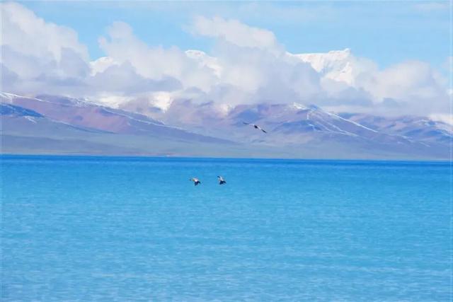 西藏没有海，却收集了世间所有蓝