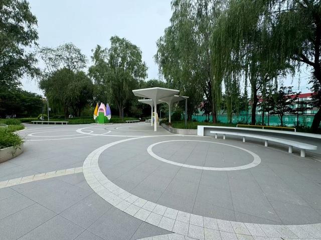 推窗见绿！北京全市绿化覆盖率已近50%