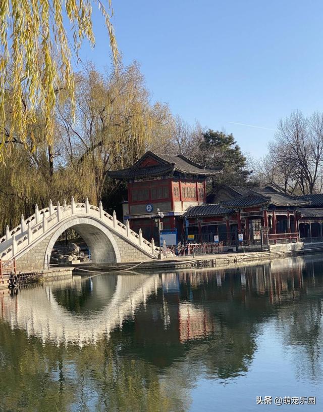 紫竹院冬日偶遇退休教授，一句话让我明白生活9个层次