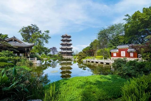 2025宜宾暑期旅游季④ | 沉浸式"醉"游记！九龙坛探秘、安乐泉品韵、酒圣山打卡！