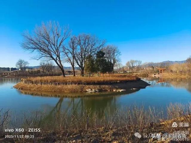 初冬北京玉河湿地公园游记｜申艳娟