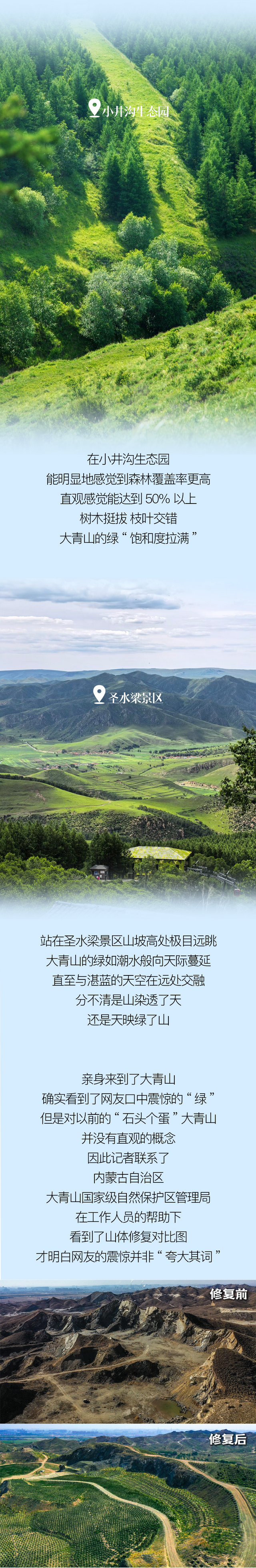 大青山，怎么这么“青”？！