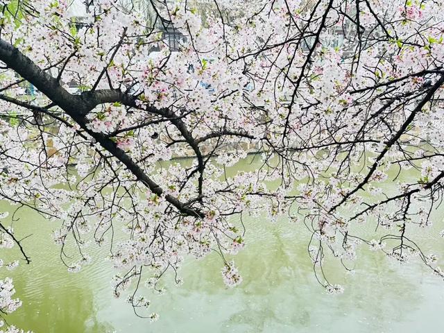 春假6天，不出门