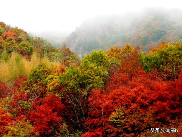 南太子河弯最多最惊险也是风光最美的一段——本溪“湖里”
