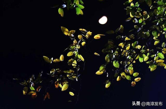 南漳：在“自然里”与秋日共醉