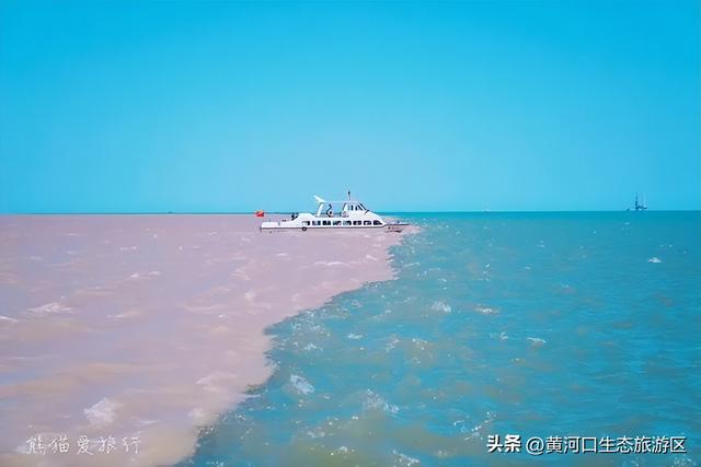 【黄河口生态旅游区】以湿地为笺，用候鸟作笔 —— 致教师的自然礼赞