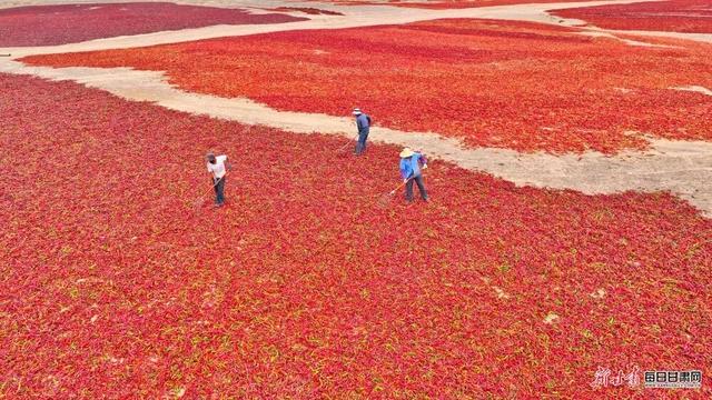 国庆来甘肃！敦煌壁画、张掖丹霞… 那抹“中国红”美到心坎里