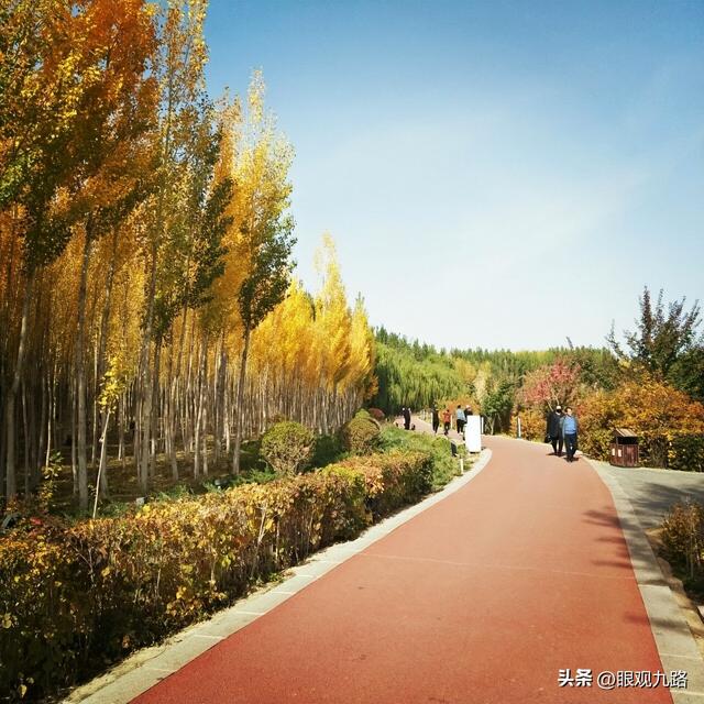 散文：西北游·最忆是甘州