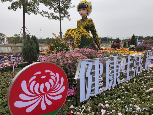 逛小榄菊花会，百年非遗绽新姿，寻味菊花特色美食