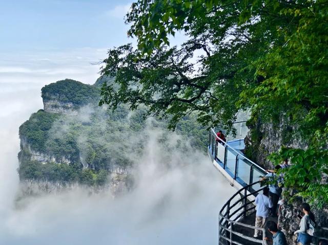 龙头山 | 立秋伊始，暑意未消，邂逅清凉正当时！
