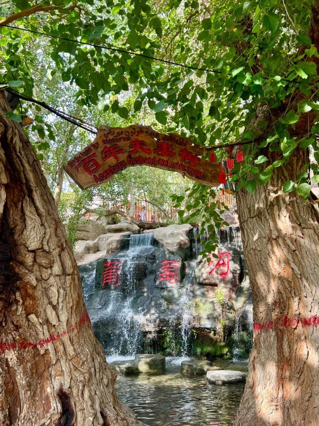 去了趟吐鲁番，真心建议：不要随便去吐鲁番，除非你知道这些