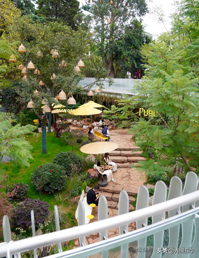 在翠湖与老街之间，生长出的昆明慢生活样本