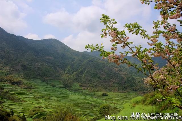 婺源篁岭旅游札记[三]（江西之旅第四十五篇）