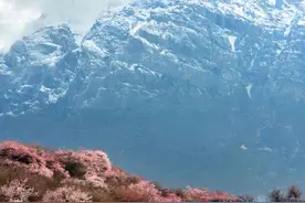 离婚五年，再次见到前夫，我才深刻体会到什么叫“物是人非”图片