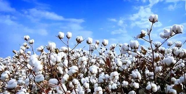 果然没让人失望！27国投票制裁中国，一国抵挡压力，坚定支持中国