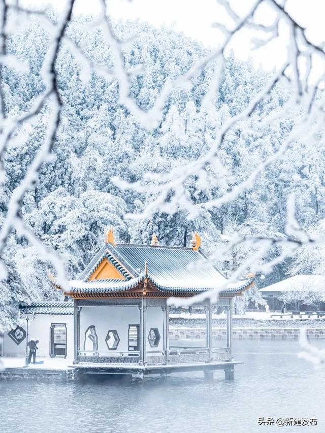 江西多地出现大片雾凇！马上又要反转！即将升温→