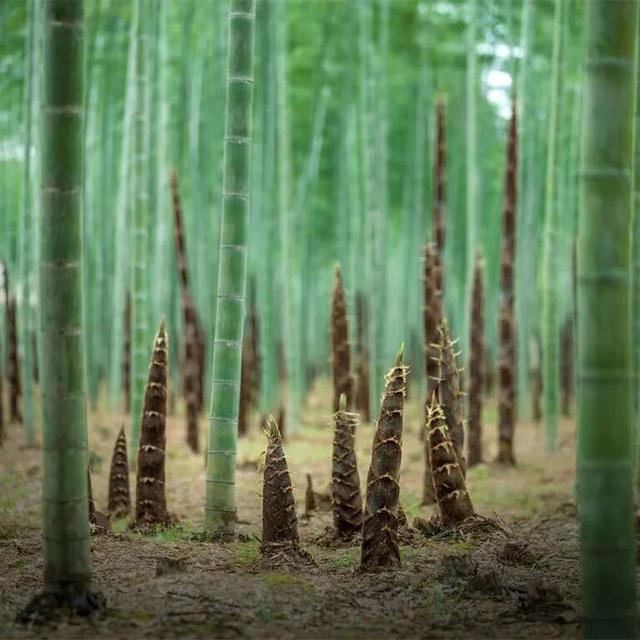 地理冷知识—资溪