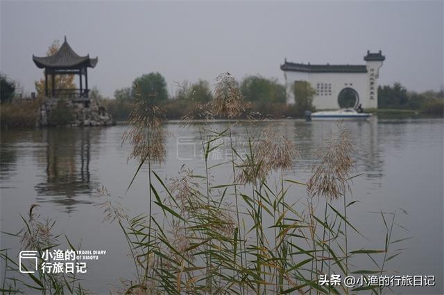 陕西秋冬自驾，浪漫天花板！一路风景一路惊喜！周末去浪