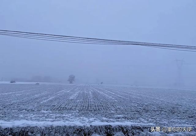 零下15度！河南四九天迎来寒冷暴击，真的要“猫冬”了？