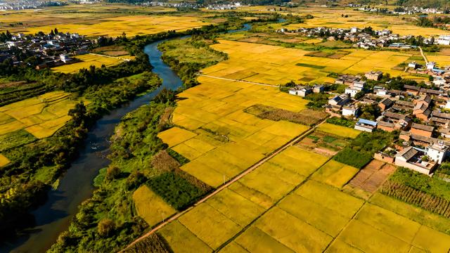 丹枫醉染云间岫，银杏金铺滇海秋 —— 昆明清秋觅胜长歌