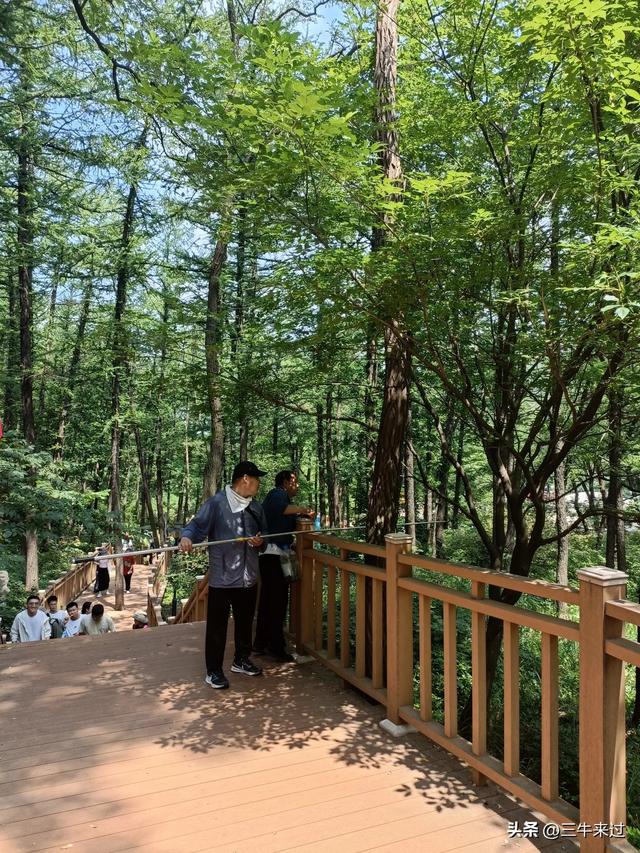 无为在歧路，避暑去鲁山