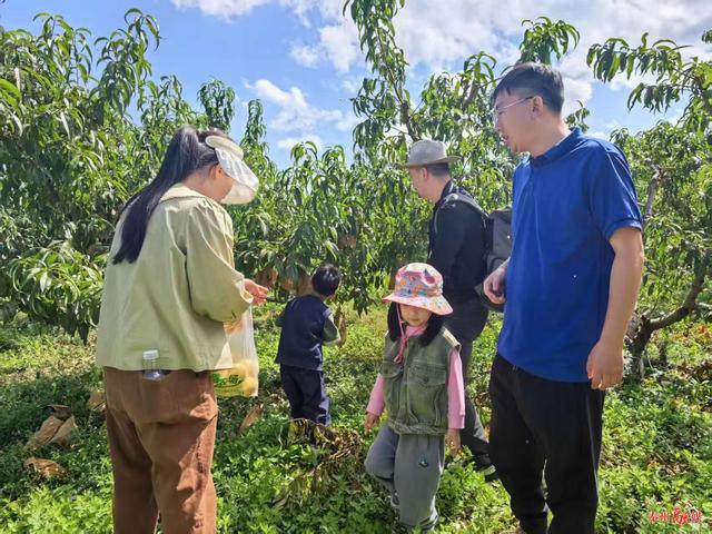 天水格瑞农场:打造沉浸式生态景观 提升服务迎"双节"客流