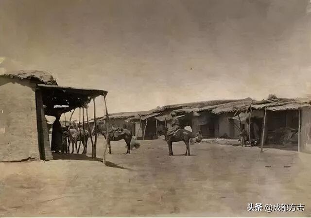 胖娃骑马上成都！带“马”地名大盘点→