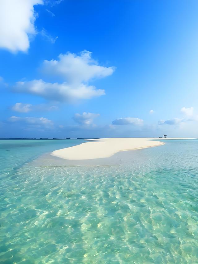 今日爆款文章：《在静默中盛开，于沉淀处得福》