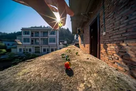 抖音的四个骗局，千万不要上当图片