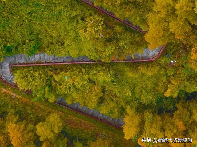 来杭州“千年秘境”公园吧，秋日有绝美场景，还可直接承包全场！