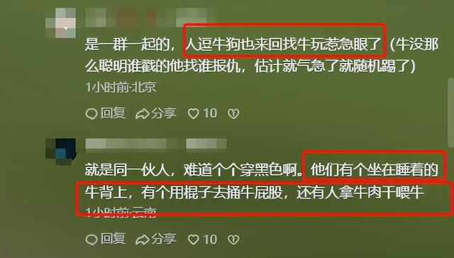 五台山一游客被牛群撞倒围攻，景区回应