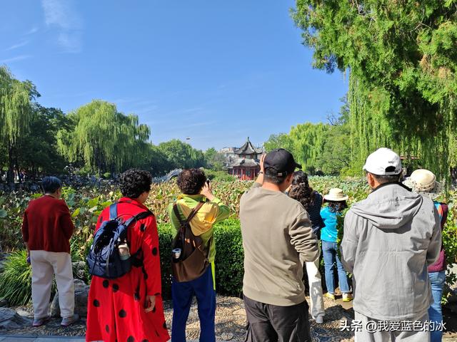 这个时候参观保定古莲花池景区有点时间不对，但还是进来转一圈