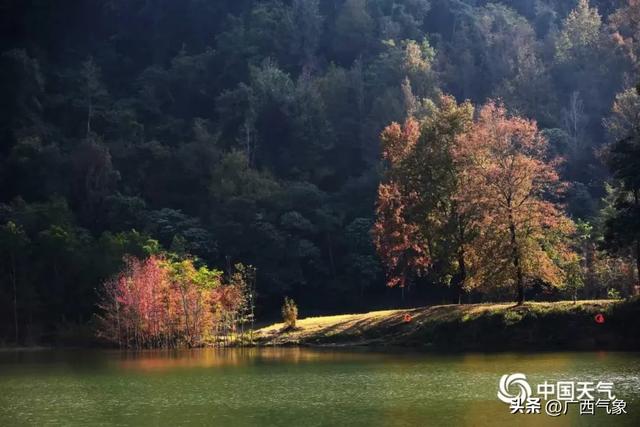 提醒！元旦来广西玩的朋友注意 较强冷空气来袭 降温5～7℃+阴雨+大风 出行攻略速存→