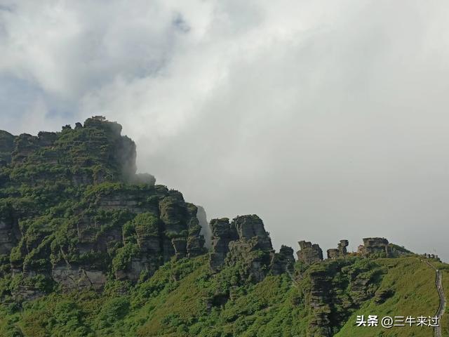 无为在歧路，贵州六日行（15）～梵净山