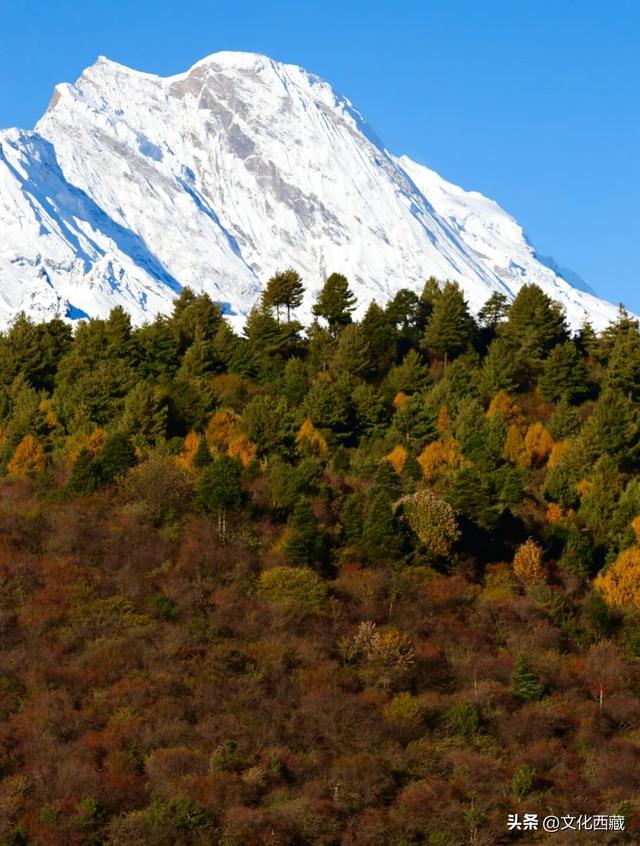 童话书里走出来的秋景！这座低调的西藏宝藏小城，早就该火了！